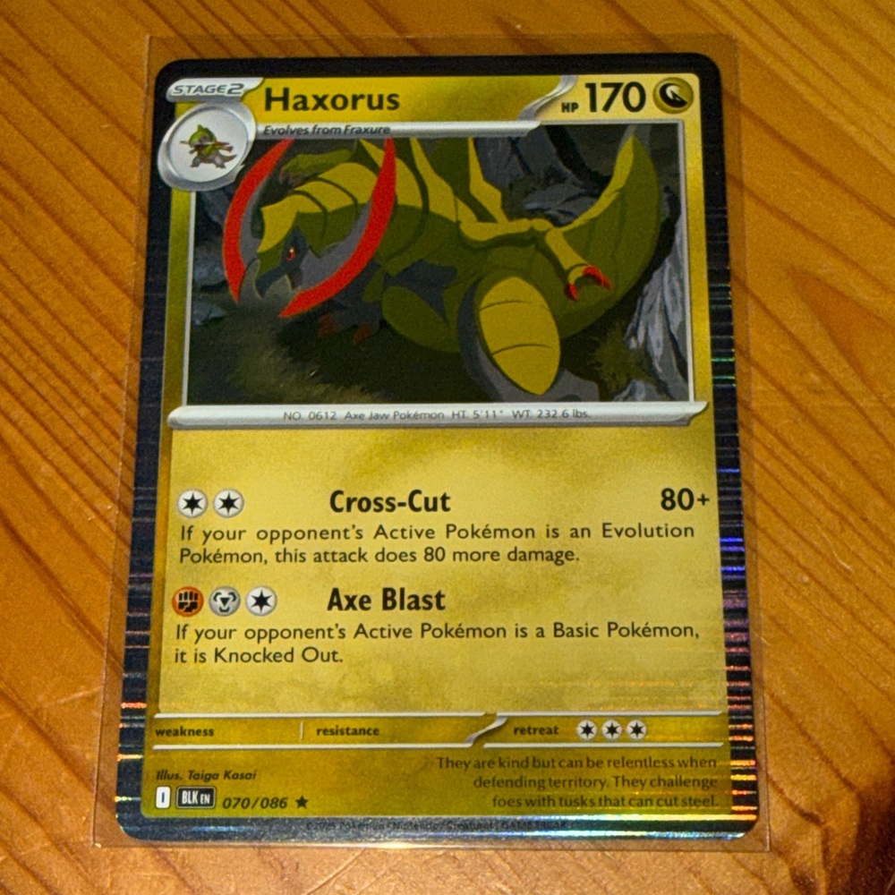 Pokémon Card - Haxorus (HOLO)